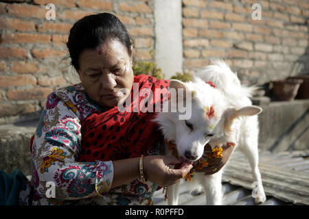 Katmandou, Népal, autres. Nov 6, 2018. Une femme népalaise appliquer Guirlande de fleur et de poudre vermillion son chien pendant l'KUKUR TIHAR ou chien d'adoration.Selon la tradition hindoue les chiens sont les messagers de l'Yamraj, le dieu de la mort. Les chiens sont adorées de reconnaître leur rôle en matière de sécurité et d'être l'homme meilleur ami, sur le plus important festival hindou que Tihar est également consacrée à l'adoration de la déesse de la richesse Laxmi. Credit : Sunil Pradhan SOPA/Images/ZUMA/Alamy Fil Live News Banque D'Images