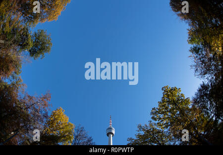 Stuttgart, Allemagne. 07Th Nov, 2018. Le haut de la tour de télévision peut être vu entre les arbres d'automne. Credit : Marijan Murat/dpa/Alamy Live News Banque D'Images