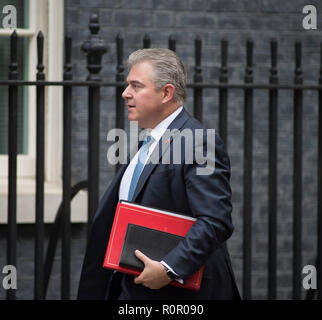 Downing Street, London, UK. 6 Nov 2018. Brandon Lewis, président du parti conservateur, arrive pour la réunion hebdomadaire du Cabinet. Banque D'Images