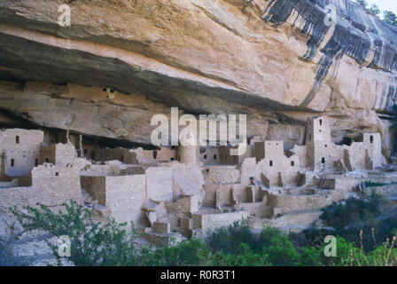 Cliff Palace, logement/Anasazi Puebloan city à la Mesa Verde National Park, Colorado. Photographie Banque D'Images