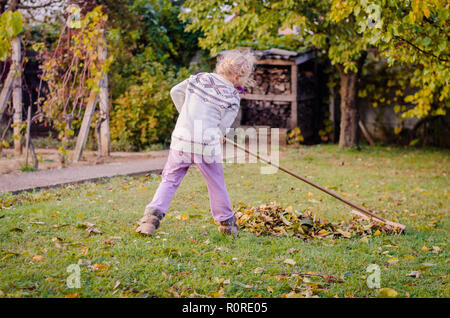 Ratisser les feuilles d'automne l'enfant tombé dans le jardin Banque D'Images