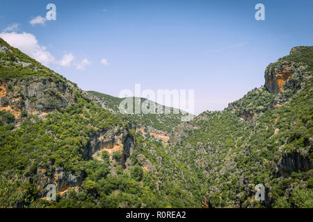 Pentes boisées, la Gorge verte, Garganta Verde, Sierra de Cádiz, Sierra de Cádiz, Cadix, Espagne Banque D'Images