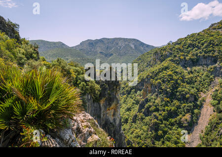 Pentes boisées, la Gorge verte, Garganta Verde, Sierra de Cádiz, Cadix, Espagne Banque D'Images