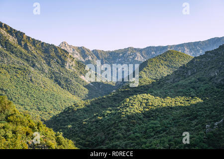 Pentes boisées, la Gorge verte, Garganta Verde, Sierra de Cádiz, Cadix, Espagne Banque D'Images