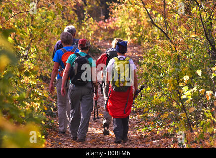 Groupe d'amis randonneurs randonnée trekking forêt pour aller à Fruska Gora Mountain près de Novi Sad Serbie,ville Banque D'Images