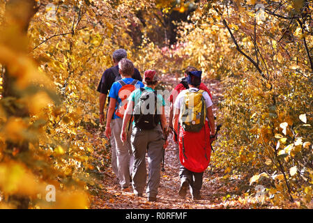 Groupe d'amis randonneurs randonnée trekking forêt pour aller à Fruska Gora Mountain près de Novi Sad Serbie,ville Banque D'Images