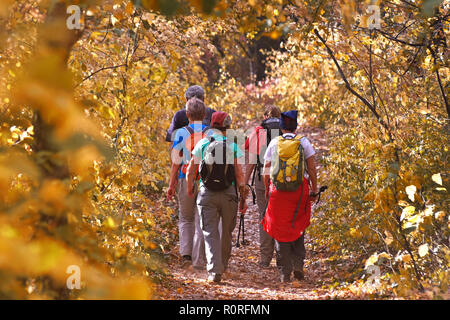 Groupe d'amis randonneurs randonnée trekking forêt pour aller à Fruska Gora Mountain près de Novi Sad Serbie,ville Banque D'Images