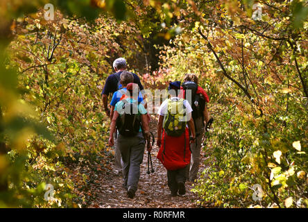 Groupe d'amis randonneurs randonnée trekking forêt pour aller à Fruska Gora Mountain près de Novi Sad Serbie,ville Banque D'Images