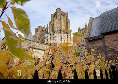 Jusqu'à la cathédrale de Wells sur le détail avec un compliment sur l'automne les feuilles colorées dans les puits Banque D'Images