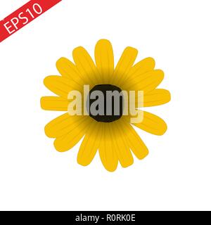 Ditsy Floral fleur soleil icône ligne concept. Floral fleur vecteur télévision signe, symbole, illustration 10 eps. Illustration de Vecteur