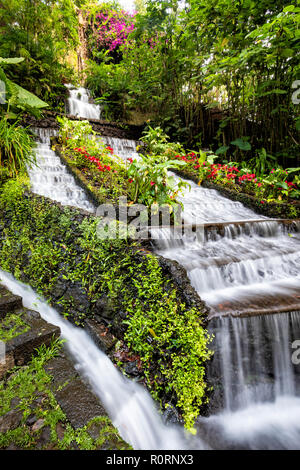 Le long du sentier des cascades dans le Parc National Cupatitzio à Uruapan, Michoacan, Mexique. Banque D'Images