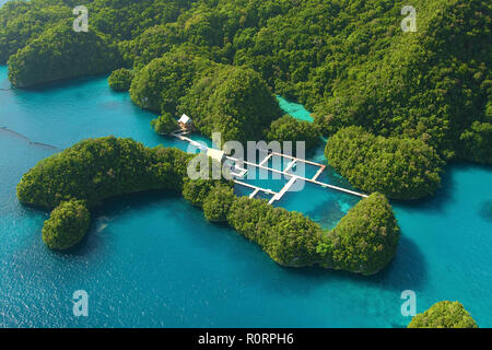 Luftaufnahme, Fischfarm am Rand der Mangroven, Palaos, Mikronesien | Fish Farm à mangroves, vue aérienne, Palau, Micronésie Banque D'Images