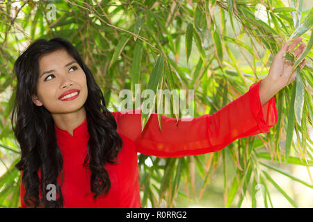 Asian Woman in red Ao Dai traditonal dress posing sous un arbre bambou Banque D'Images