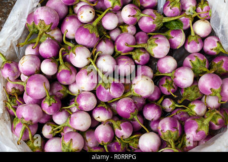 Les aubergines dans une échoppe de marché tropical Banque D'Images