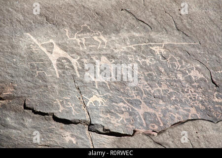 Pétroglyphes rupestres préhistoriques représentant l'homme et le chameau, le désert de Wadi Rum, Jordanie Banque D'Images