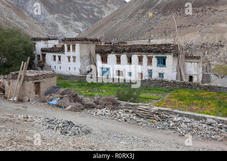 Les bâtiments avec des piles de bois et dung sur les toits à Purne (village, également connu sous le nom de Purni) au Zanskar, le Jammu-et-Cachemire, l'Inde Banque D'Images