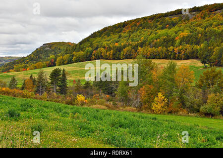 Une image paysage d'un bois de crête avec des champs d'exécution à la base des arbres près de Sussex au Nouveau-Brunswick, Canada. Banque D'Images