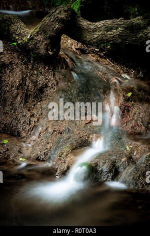 Petite cascade sous streaming tronc d'arbre dans les bois des temps d'exposition Banque D'Images