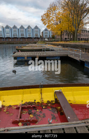 Les feuilles d'automne dans un bateau sur le navire bassin du canal dans la ville de Chichester, West Sussex. Banque D'Images