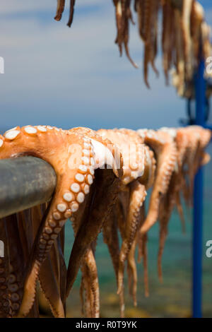 Poulpe pêché fraîchement préparés, prêts à être cuisinés dans une taverne grecque traditionnelle dans l'île de Samos, en Grèce. Banque D'Images