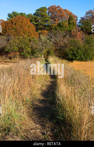 Crowe's Pasture marsh dans East Dennis, Massachusetts, USA à Cape Cod Banque D'Images