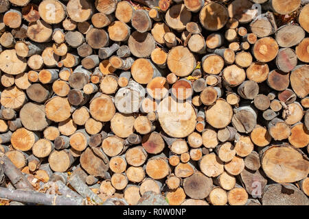 Les troncs d'arbres sciés de différentes tailles gisant sur un autre. Banque D'Images