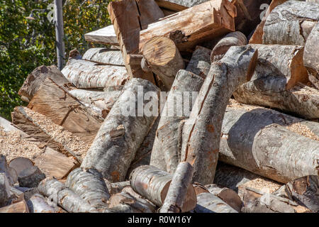 Les troncs d'arbres sciés de différentes tailles pose en tas de près. Grèce Banque D'Images