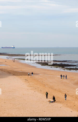 La marche les chiens sur la plage à Botany Bay, près de Broadstairs, Kent, Royaume-Uni, l'automne. Banque D'Images