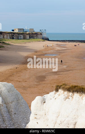 La marche les chiens sur la plage à Botany Bay, près de Broadstairs, Kent, Royaume-Uni, l'automne. Le traitement de l'eau des déchets du site peut être vu dans l'arrière-plan Banque D'Images