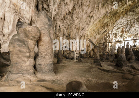 Caractéristiques karstiques pittoresques allumé dans la grotte, grotte de Postojna Banque D'Images