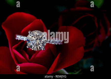 Bague Platine Diamant sur Rose Rouge (Coeurs et Flèches) Banque D'Images