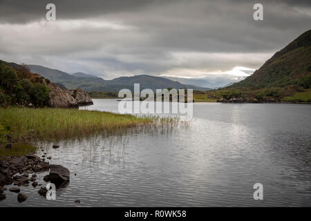 Vue sur le lac à l'intérieur de l'Anneau du Kerry, le Parc National de Killarney, Irlande, Europe Banque D'Images
