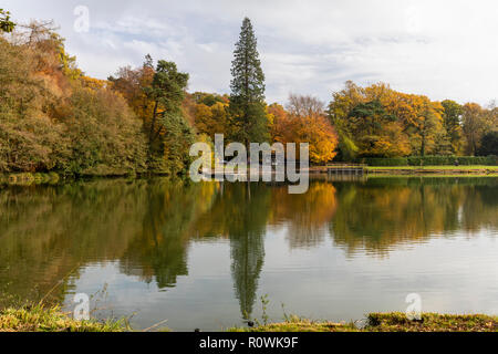 Réflexions d'automne dans l'eau des arbres autour du lac Shearwater, le domaine de Longleat, Wiltshire, Angleterre, Royaume-Uni Banque D'Images