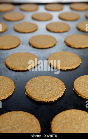 La faible profondeur de l'image de l'avoine feild des gâteaux sur une plaque de cuisson commercial, juste après avoir quitté l'overn no5 Banque D'Images