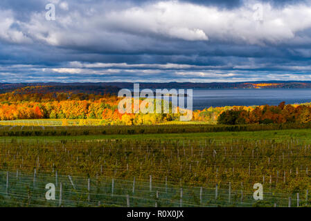 Briser les nuages Soleil une journée d'automne, d'allumer l'arbre couleurs et les vignobles Minervois à l'automne. Banque D'Images