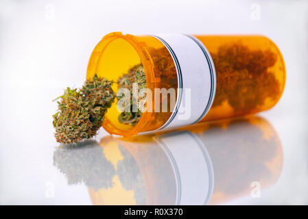 Concept de la marijuana médicale à sec avec cocottes isolated on white reflective surface Banque D'Images
