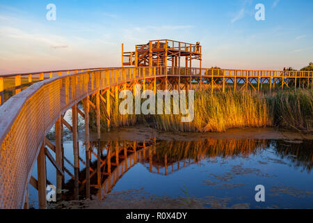Promenade au coucher du soleil coloré chemin via coastal zone marécageuse. La piste côtière de Parnu. L'Estonie. Banque D'Images