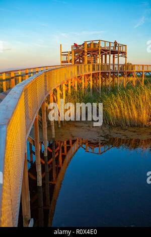 Promenade au coucher du soleil coloré chemin via coastal zone marécageuse. La piste côtière de Parnu. L'Estonie. Banque D'Images