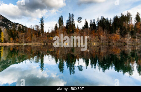 La couleur de l'automne et le feuillage des forêts entourent une paysage lac de montagne idyllique dans les Alpes de Suisse sur la fin de l'automne une journée avec reflets dans l'eau Banque D'Images