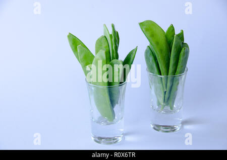 Un tas de pois mange-debout dans un verre sur fond blanc Banque D'Images