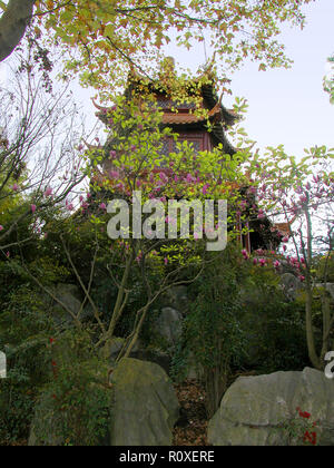 Pagode dans le jardin chinois, Sydney, NSW, Australie Banque D'Images