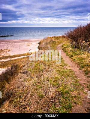 Falaise sur la mer Baltique entre Ahrenshoop et Wustrow, Mecklenburg-Vorpommern. Banque D'Images