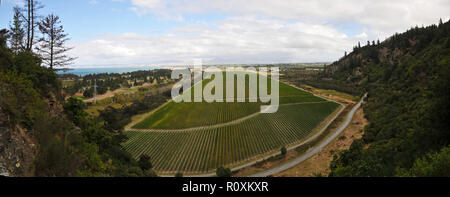 Autour de la Nouvelle Zélande - Marlborough Wine Country - photo panoramique des champs de vignes Banque D'Images