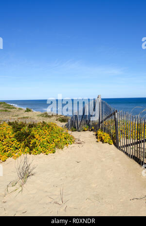 Vue panoramique sur la Station Marconi à Cape Cod National Seashore à Wellfleet, Massachusetts avec dunes, océan et un ciel bleu clair, Banque D'Images