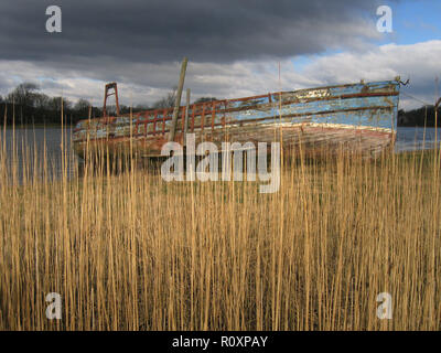 La carcasse de l'ancien bateau en bois "source" parmi les roseaux sur les rives de la rivière Dee, Kirkcudbright, Dumfries et Galloway, Écosse SW Banque D'Images