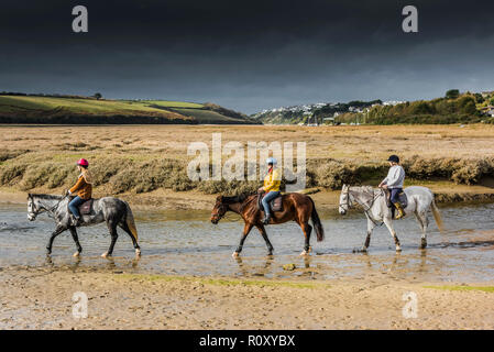 Promenades à cheval le long de la rivière Gannel à marée basse à Newquay Cornwall. Banque D'Images