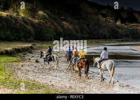 Promenades à cheval le long de la rivière Gannel à marée basse à Newquay Cornwall. Banque D'Images