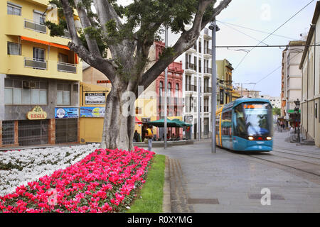 Rue Santa Cruz de Tenerife. Îles Canaries. Espagne Banque D'Images