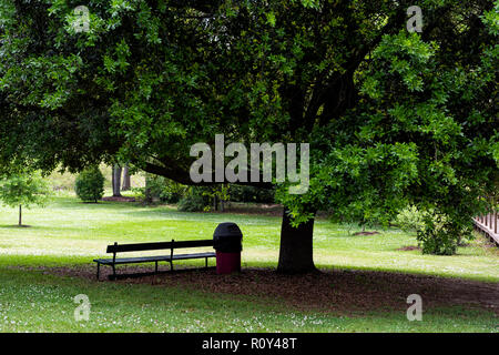 Gros plan du banc sous grand arbre de l'ombre en printemps vert dans le sud de l'Alabama ville pendant les jours ensoleillés, poubelle Banque D'Images