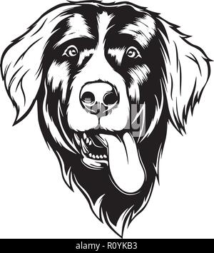 Chef de race bouvier bernois Pedigree isolé Animaux Portrait Smiling Happy face chiot Animal Cartoon Illustration Portrait Art Design mignon Illustration de Vecteur